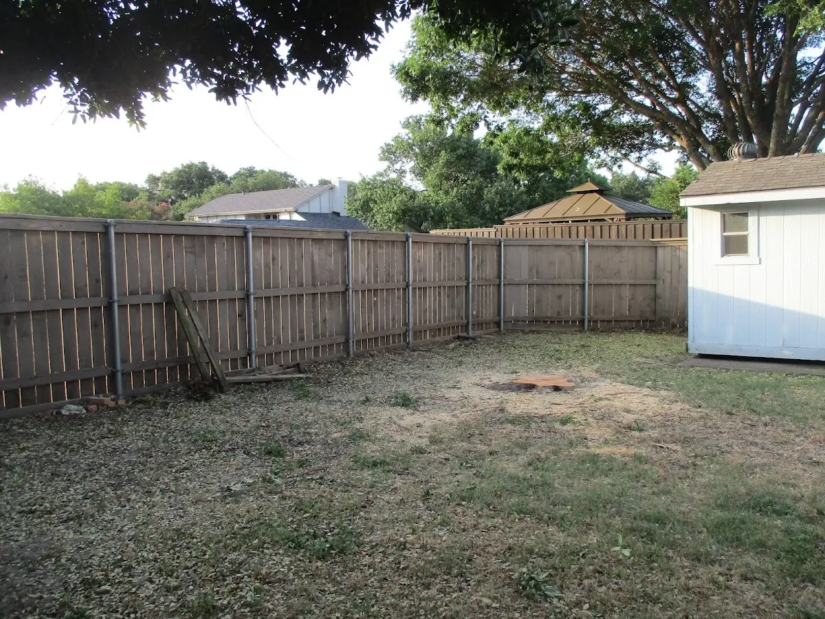 Cleared yard after professional tree removal in Granite Falls